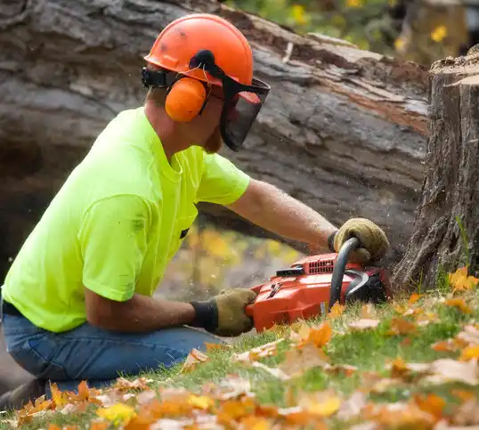 tree services Shelby